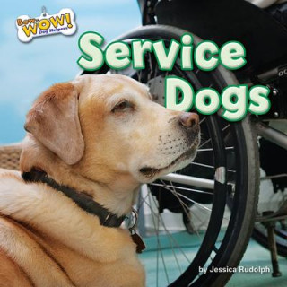 Kniha Service Dogs Jessica Rudolph