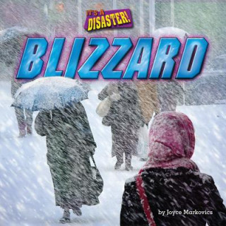 Könyv Blizzard Joyce Markovics