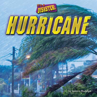 Kniha Hurricane Jessica Rudolph