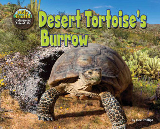 Buch Desert Tortoise's Burrow Dee Phillips