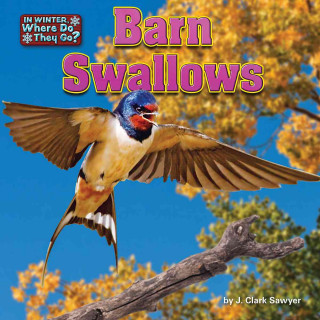 Książka Barn Swallows J. Clark Sawyer