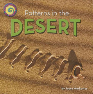 Könyv Patterns in the Desert Joyce Markovics