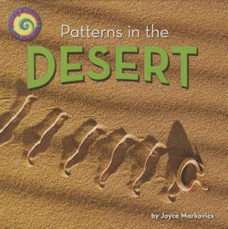 Kniha Patterns in the Desert Joyce Markovics