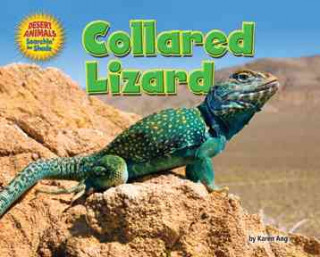Knjiga Collared Lizard Karen Ang