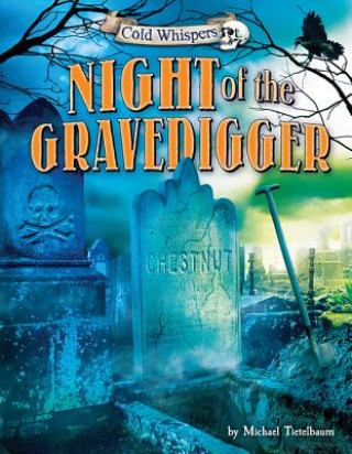 Boek Night of the Gravedigger Michael Teitelbaum