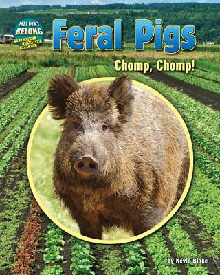 Buch Feral Pigs Kevin Blake