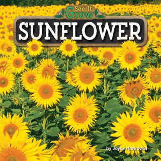 Kniha Sunflower Joyce Markovics