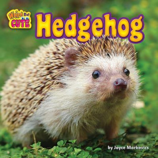 Kniha Hedgehog Joyce Markovics