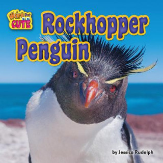 Knjiga Rockhopper Penguin Jessica Rudolph