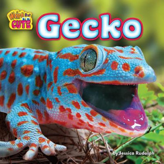 Könyv Gecko Jessica Rudolph
