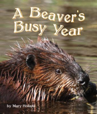 Kniha The Beavers' Busy Year Mary Holland