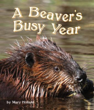 Carte The Beavers' Busy Year Mary Holland