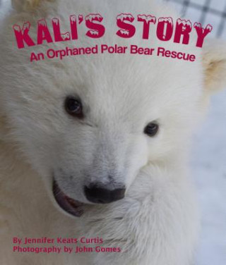 Könyv Kali's Story Jennifer Keats Curtis