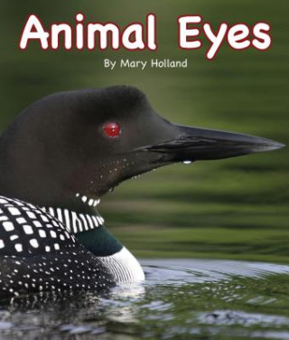Kniha Animal Eyes Mary Holland