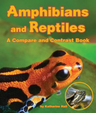 Kniha Amphibians and Reptiles Katherine Hall