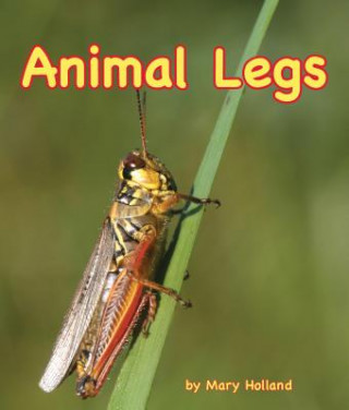 Book Animal Legs Mary Holland