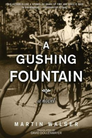 Kniha A Gushing Fountain Martin Walser