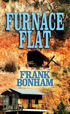 Book Furnace Flat Frank Bonham