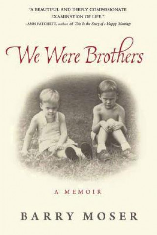 Buch We Were Brothers Barry Moser