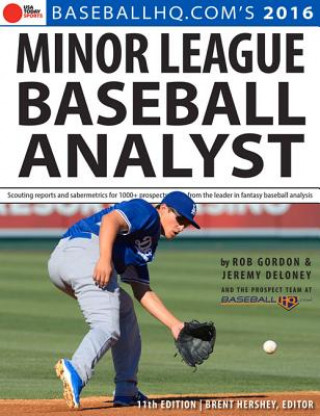 Carte Minor League Baseball Analyst 2016 Rob Gordon