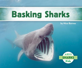 Book Basking Sharks Nico Barnes