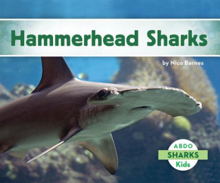 Książka Hammerhead Sharks Nico Barnes