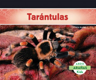 Boek Tarantulas / Tarantula Spiders Claire Archer