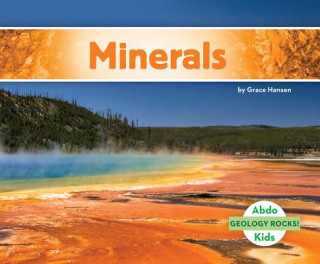 Книга Minerals Grace Hansen