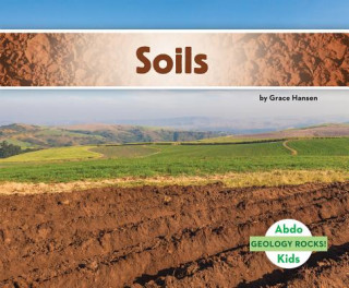 Książka Soils Grace Hansen