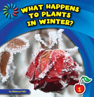 Kniha What Happens to Plants in Winter? Rebecca Felix