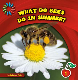 Buch What Do Bees Do in Summer? Rebecca Felix