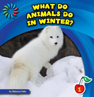 Könyv What Do Animals Do in Winter? Rebecca Felix