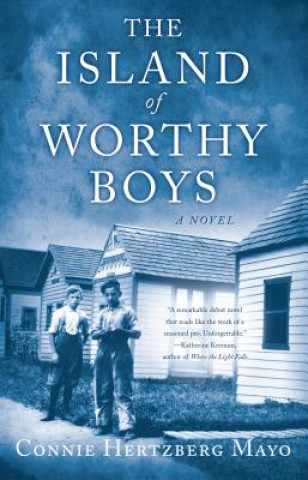 Knjiga Island of Worthy Boys Connie Hertzberg Mayo