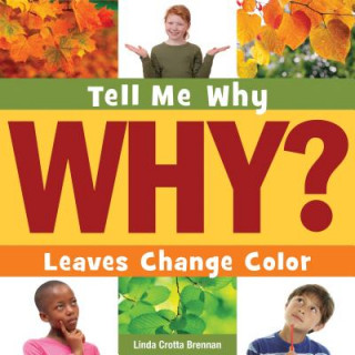 Carte Leaves Change Color Linda Crotta Brennan