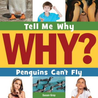 Buch Penguins Can't Fly Susan Heinrichs Gray