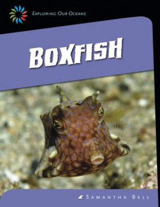 Buch Boxfish Samantha Bell