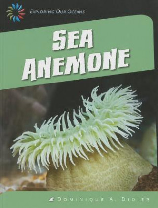 Książka Sea Anemone Dominique A. Didier