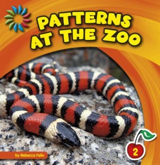 Knjiga Patterns at the Zoo Rebecca Felix