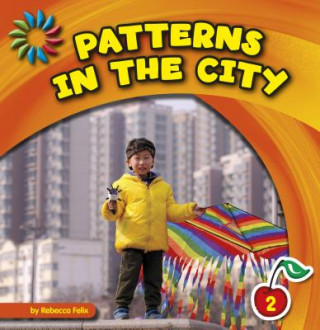 Knjiga Patterns in the City Rebecca Felix