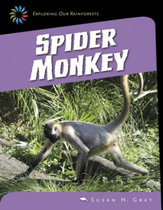 Knjiga Spider Monkey Susan Heinrichs Gray