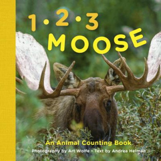 Kniha 1, 2, 3 Moose Art Wolfe