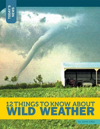 Könyv 12 Things to Know About Wild Weather Jamie Kallio