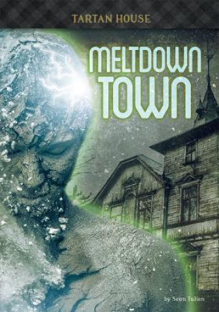 Kniha Meltdown Town Sean Tulien