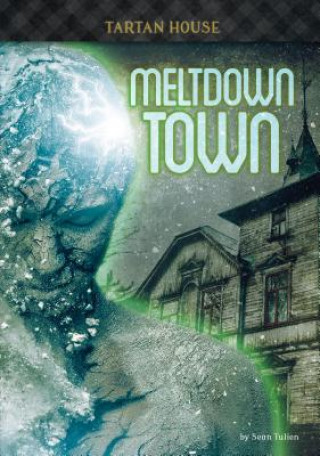 Kniha Meltdown Town Sean Tulien