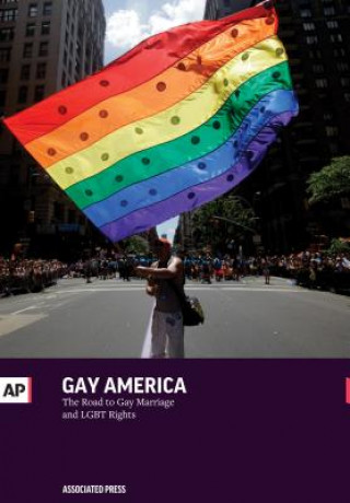 Kniha Gay America Associated Press