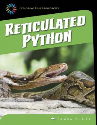 Boek Reticulated Python Tamra B. Orr