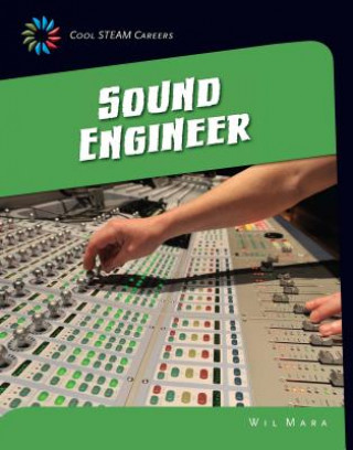Kniha Sound Engineer Wil Mara