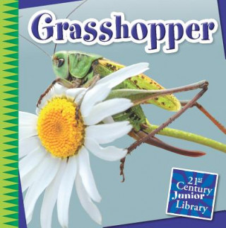 Książka Grasshopper Susan Heinrichs Gray