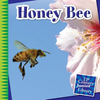 Carte Honey Bee Katie Marsico