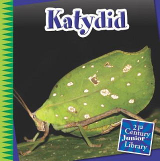Kniha Katydid Michael Shoulders